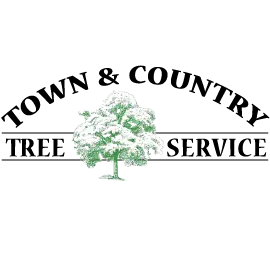 Town & Country Tree Service logo