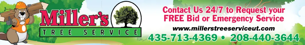 Stump Removal banner ad for Miller's Tree Service LLC