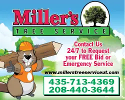 Firewood impact ad for Miller's Tree Service LLC