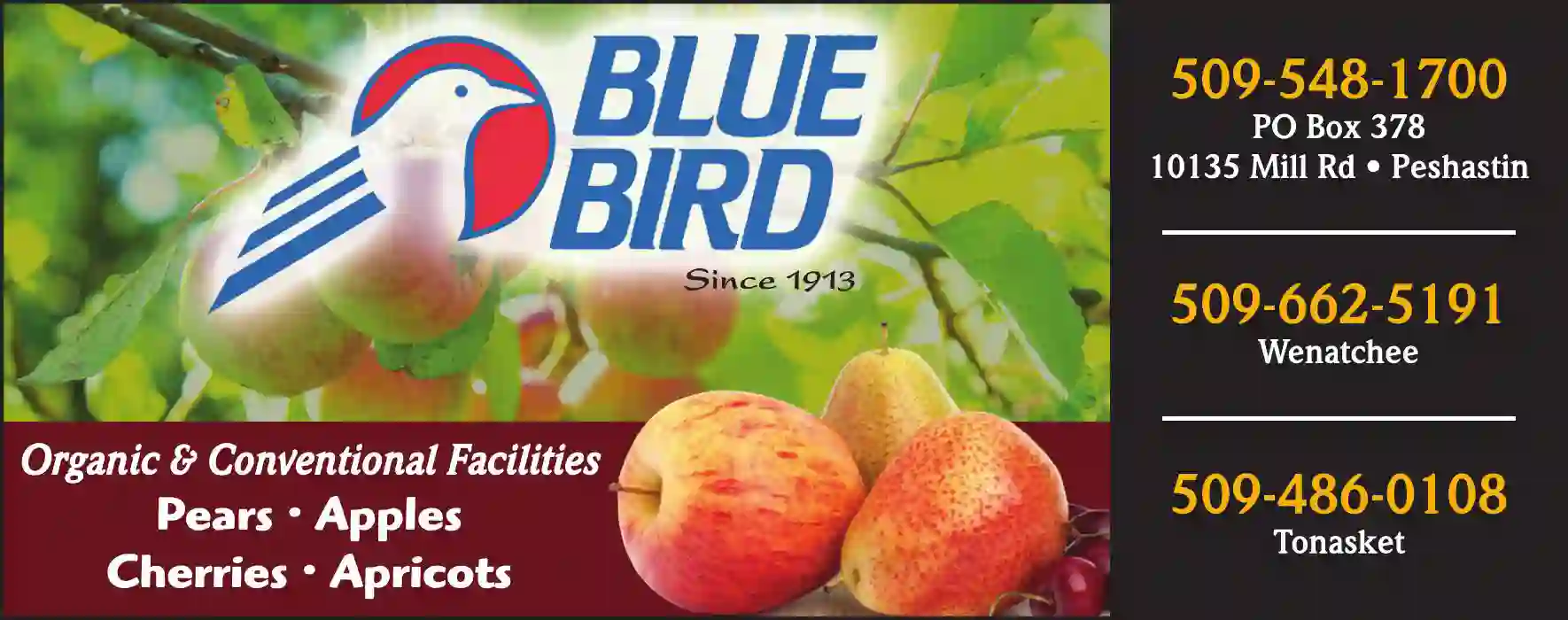 Organic Foods & Services print ad for Blue Bird Inc