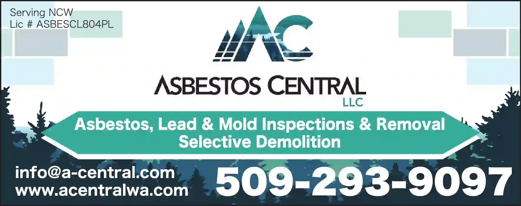 Asbestos Abatement print ad for Asbestos Central LLC