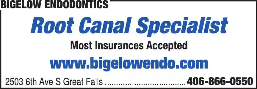 Dentists - Endodontics (Root Canals) - Specialists print ad for Bigelow Endodontics