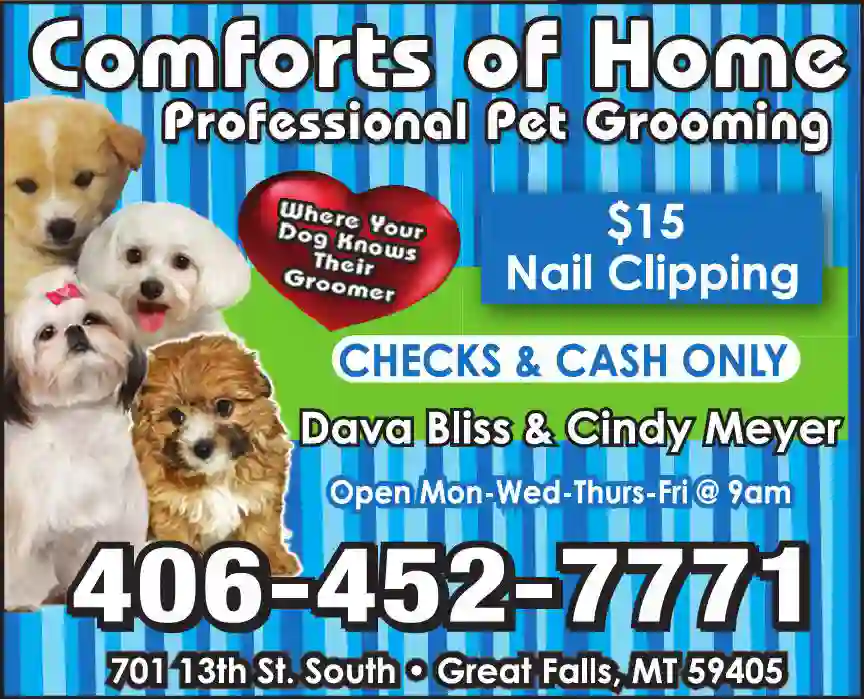 Pet Grooming print ad for Comforts Of Home Professional Pet Grooming