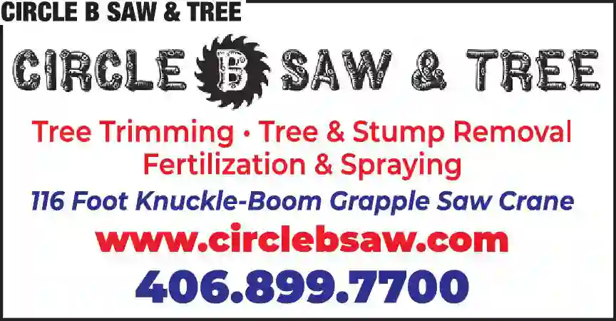 Tree Service print ad for Circle B Saw & Tree