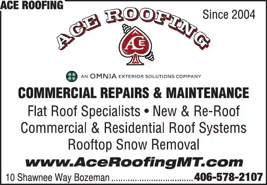 Roofing Contractors print ad for Ace Roofing