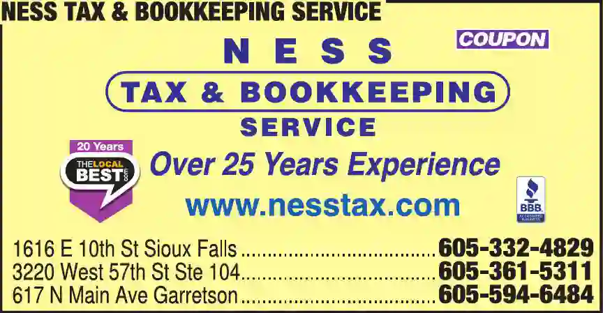 Accounting & Bookkeeping - General Services print ad for Ness Tax & Bookkeeping Service