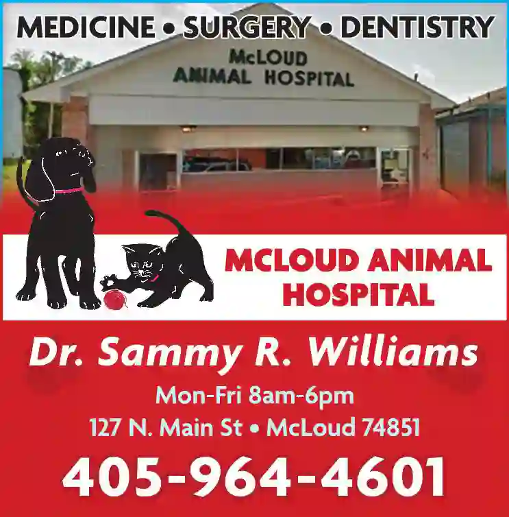 Veterinarians & Hospitals print ad for McLoud Animal Hospital