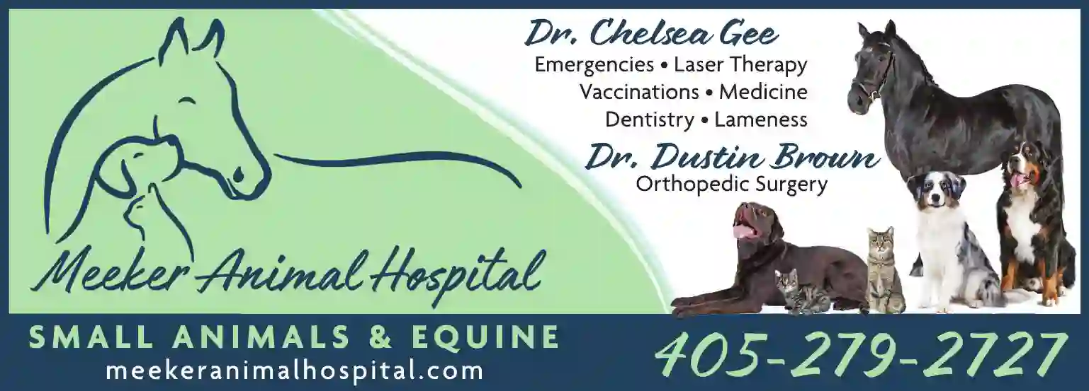 Veterinarians & Hospitals print ad for Meeker Animal Hospital