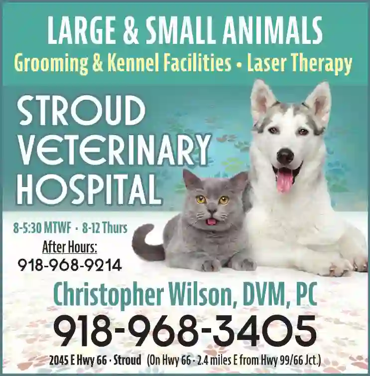 Veterinarians & Hospitals print ad for Wilson Christopher DVM