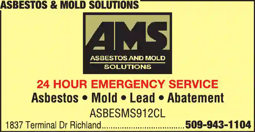 Asbestos Abatement print ad for Asbestos & Mold Solutions