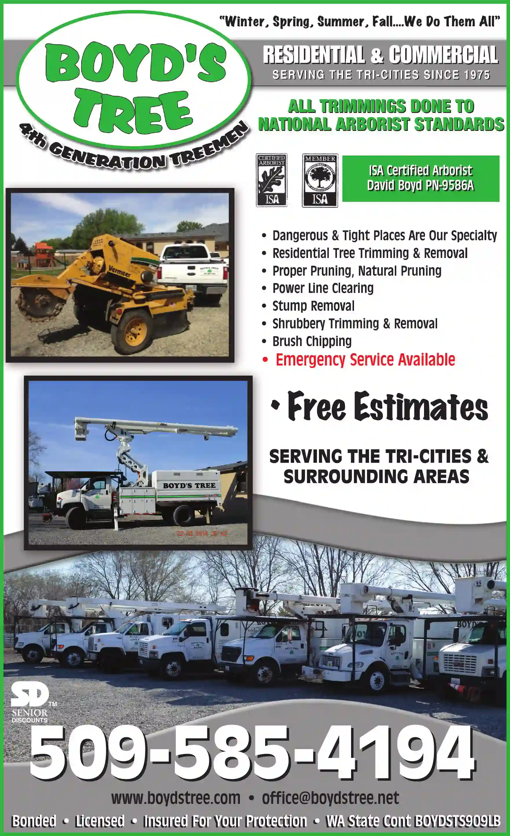 Tree Service print ad for Boyd's Tree