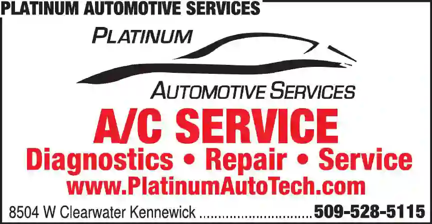 Auto Air Conditioning print ad for Platinum Automotive Services