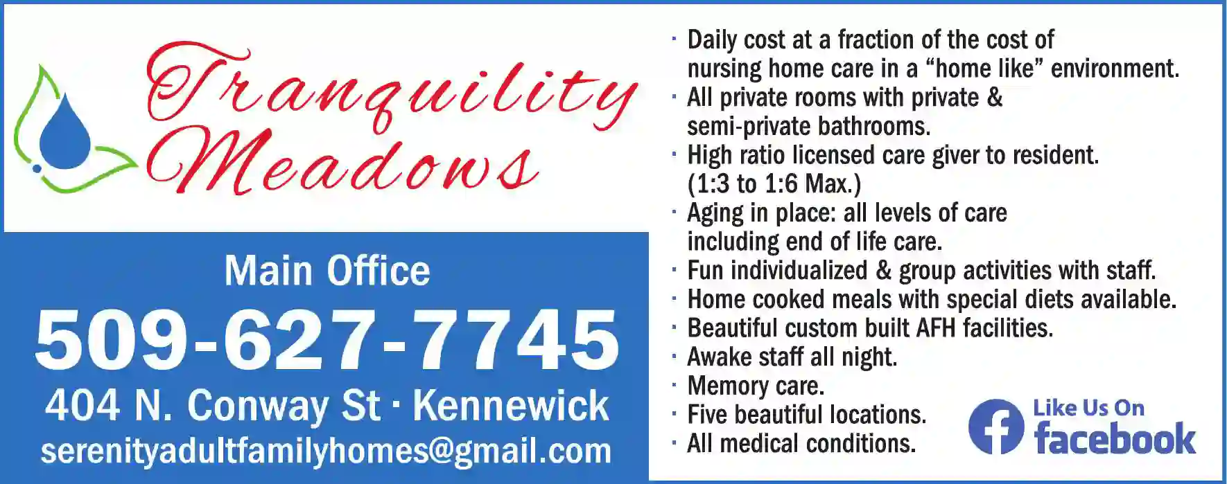 Assisted Living Facilities print ad for Tranquility Meadows