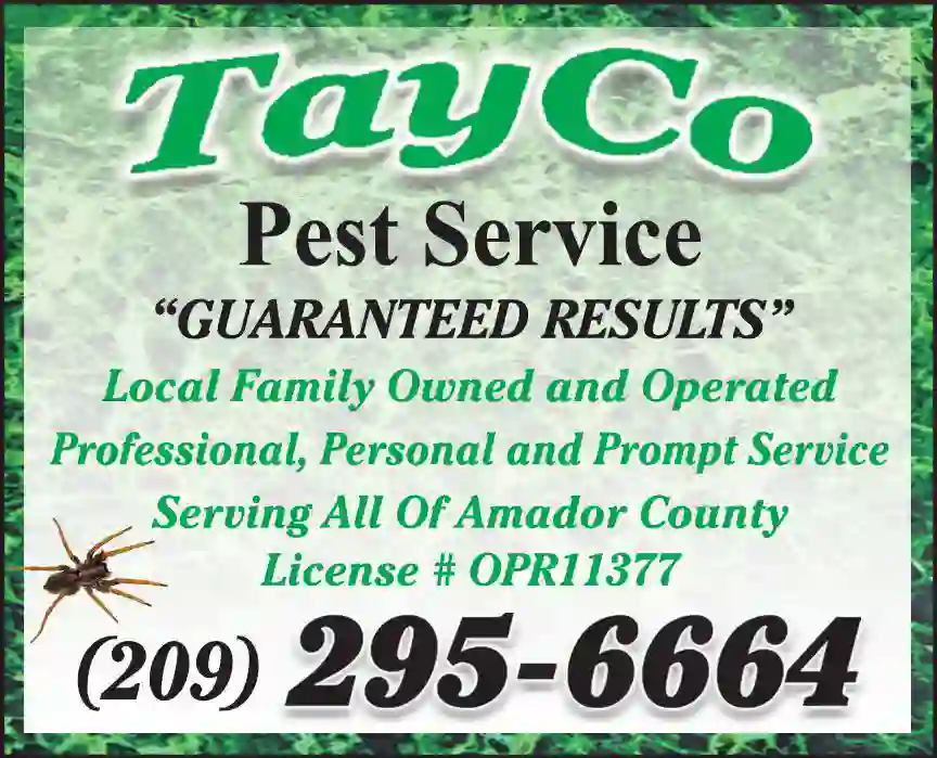 Pest Control Services print ad for TayCo Pest Service