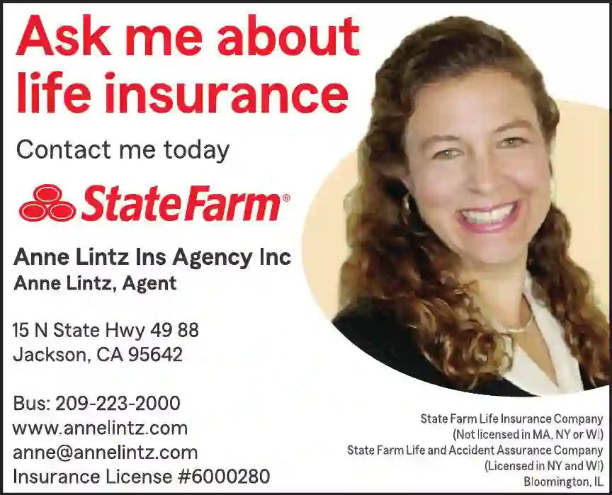 Financial Planning Consultants print ad for State Farm