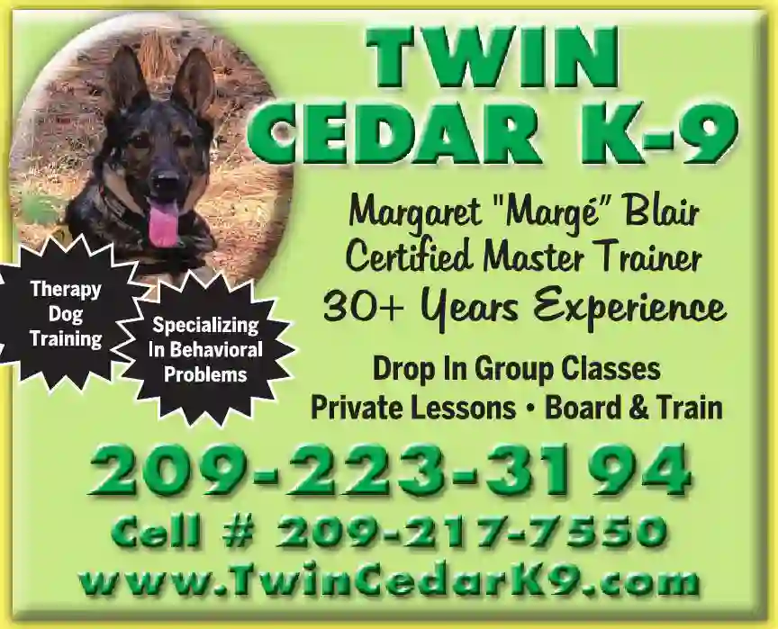 Pet Services print ad for Twin Cedar K-9