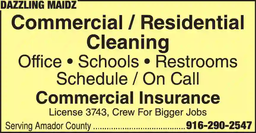 Janitor Service print ad for Dazzling Maidz