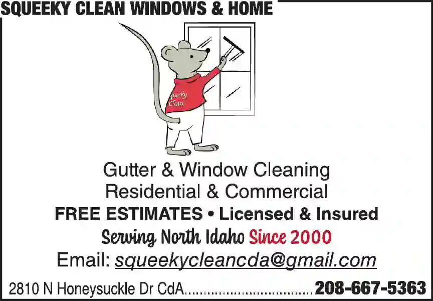 Window Cleaning print ad for Squeeky Clean Windows & Home