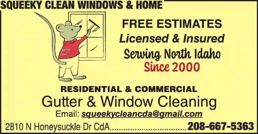 Gutter Cleaning print ad for Squeeky Clean Windows & Home