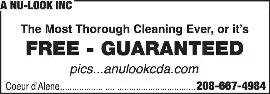 Carpet & Upholstery Cleaners print ad for A Nu-Look Inc