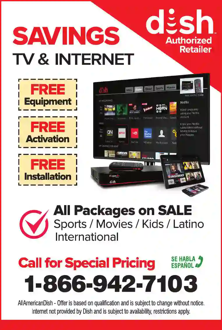 Satellite Equipment & Systems print ad for All American Dish