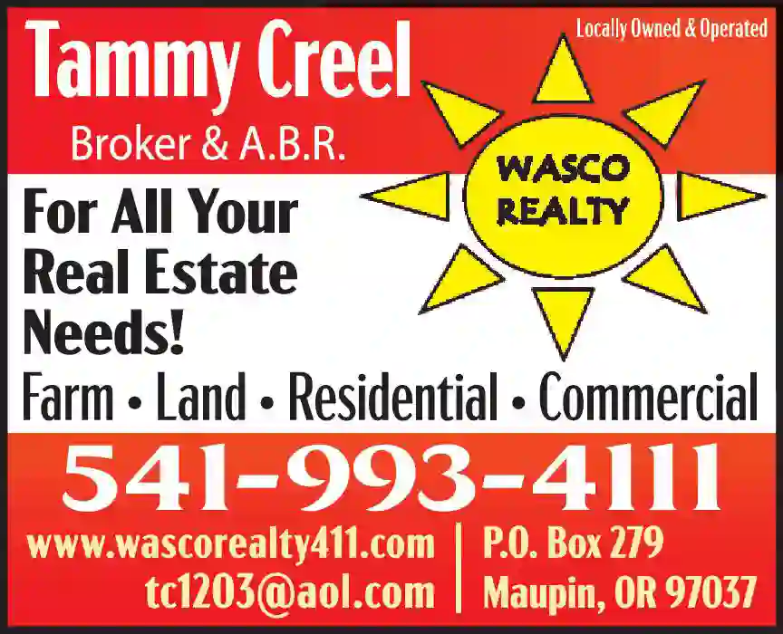 Real Estate print ad for Wasco Realty