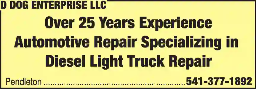 Auto Repair & Service print ad for D Dog Enterprise LLC