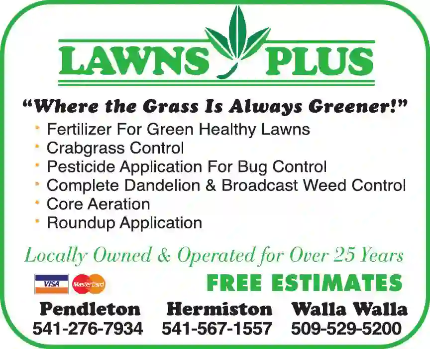 Lawn & Grounds Maintenance print ad for Lawns Plus