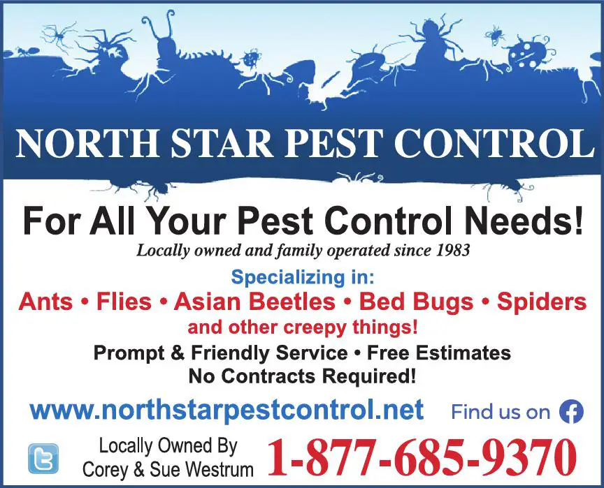 Pest Control Services print ad for North Star Pest Control