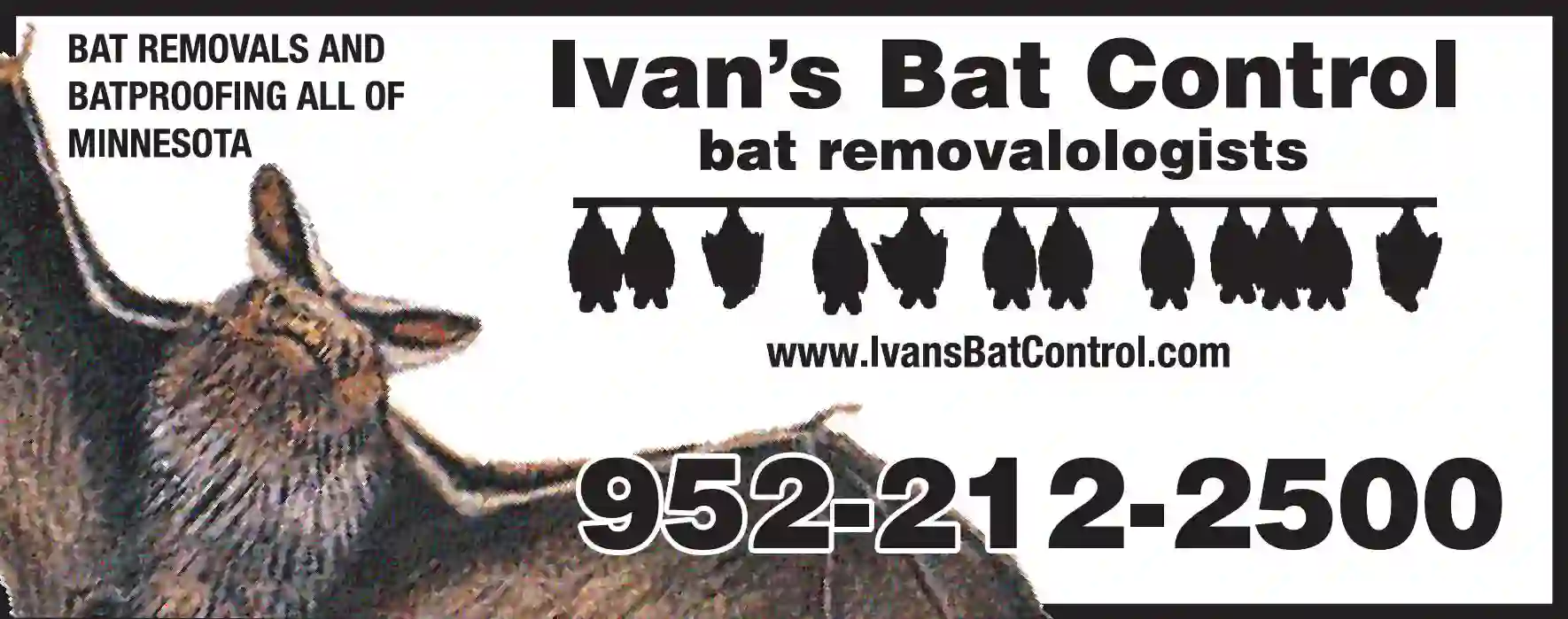 Pest Control Services print ad for Ivan's Bat Control