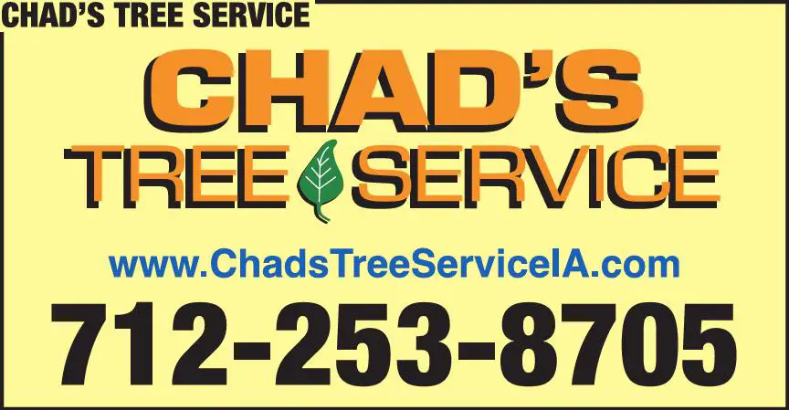 Tree Service print ad for Chad's Tree Service