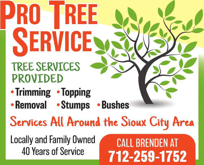 Tree Service print ad for Pro Tree Service