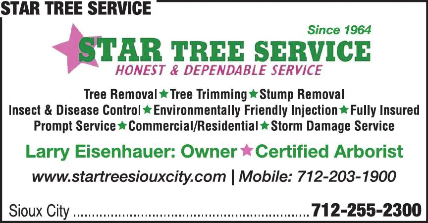 Tree Service print ad for Star Tree Service