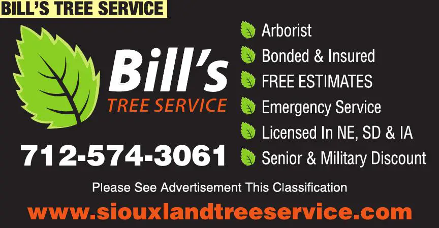 Tree Service print ad for Bill's Tree Service