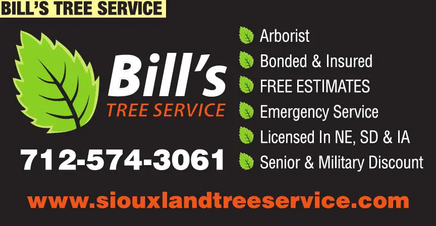 Stump Removal print ad for Bill's Tree Service