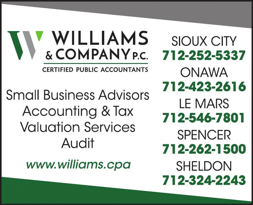 Accountants/Certified Public Accountants print ad for Williams & Company PC