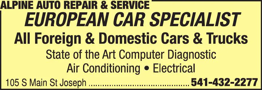 Auto Repair & Service print ad for Alpine Auto Repair & Service
