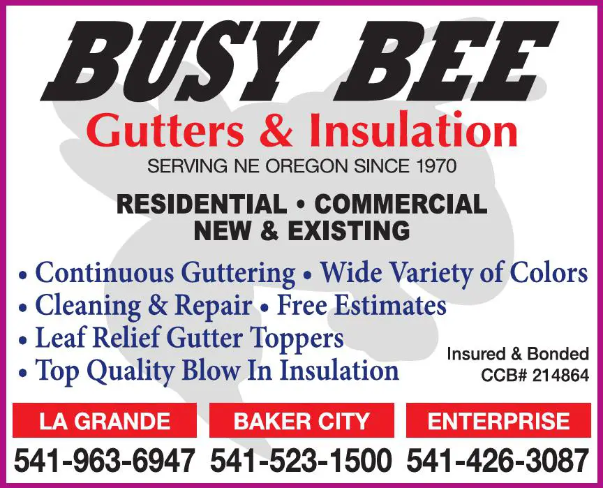 Gutters & Downspouts print ad for Busy Bee Professional Cleaning