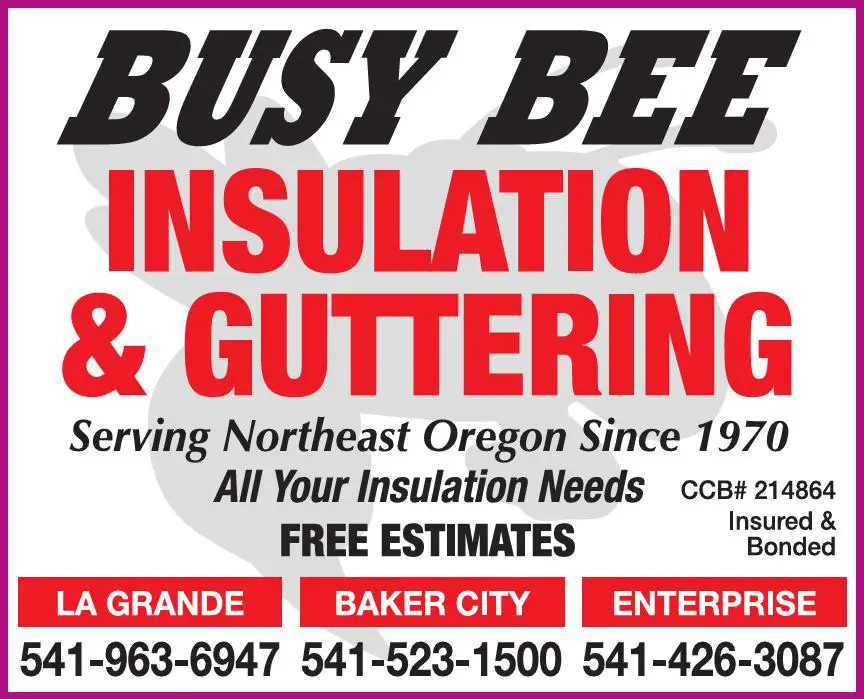 Insulation Contractors print ad for Busy Bee Professional Cleaning