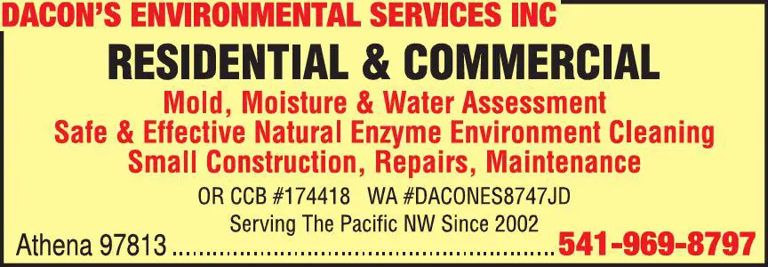 Mold Inspection & Removal print ad for Dacon's Environmental Services Inc