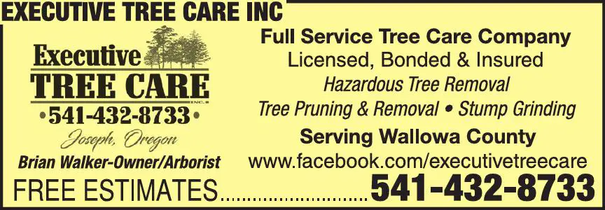Tree Service print ad for Executive Tree Care Inc