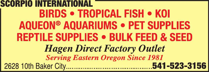 Pet Shops print ad for Scorpio International