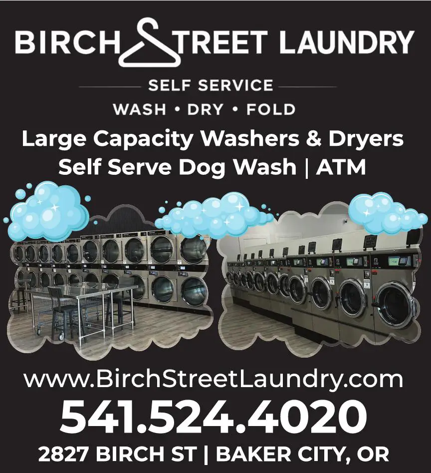 Laundries - Self Service print ad for Birch Street Laundry
