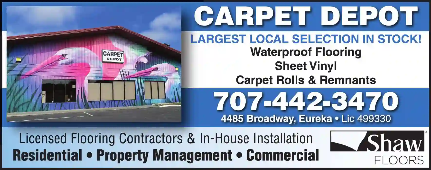 Carpet & Rug Dealers - New print ad for Carpet Depot