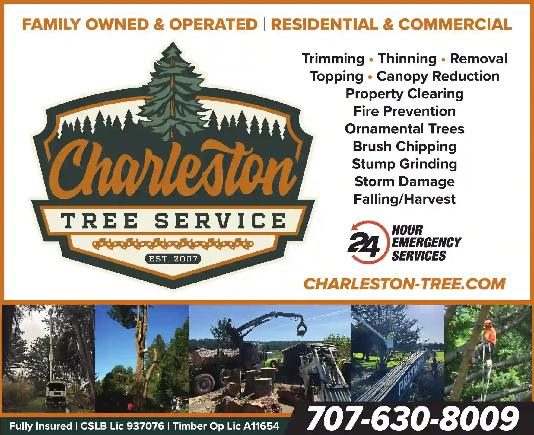 Tree Service print ad for Charleston Tree Service