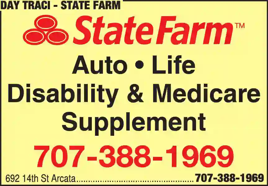 Insurance print ad for Day Traci ^ State Farm