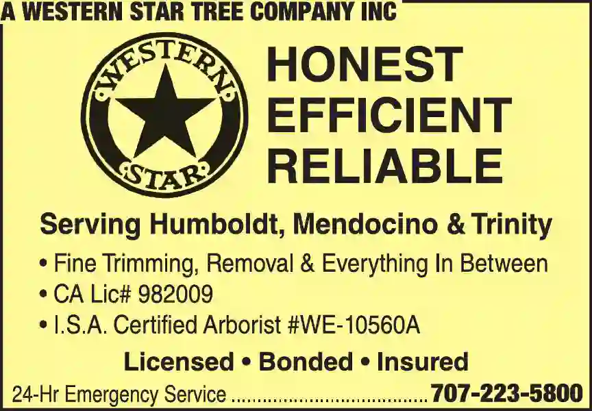 Tree Service print ad for A Western Star Tree Company Inc