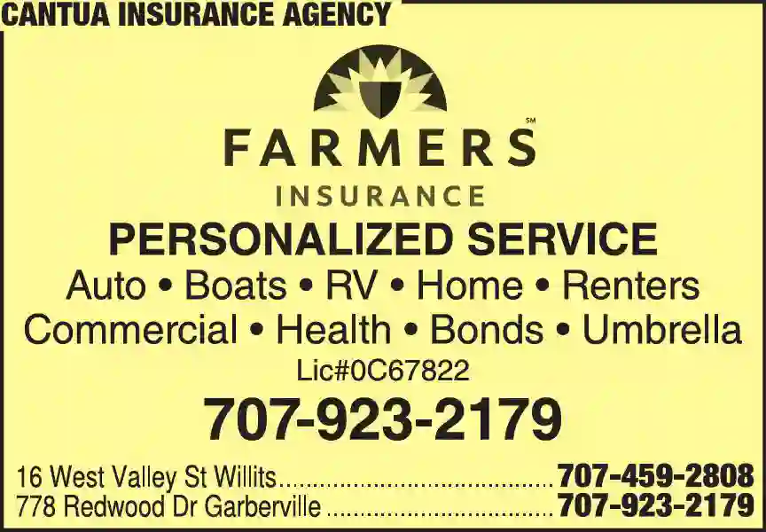 Insurance print ad for Cantua Insurance Agency