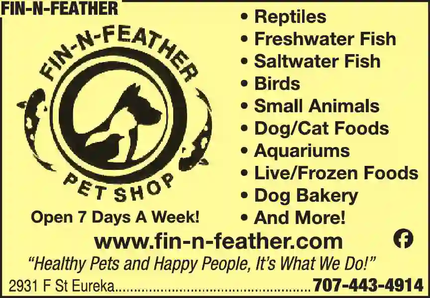 Pet Shops print ad for Fin-N-Feather