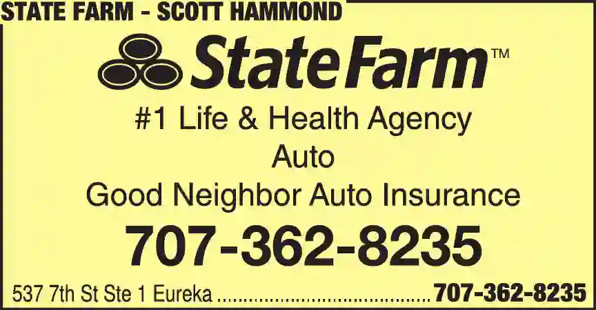 Insurance print ad for State Farm ^ Scott Hammond